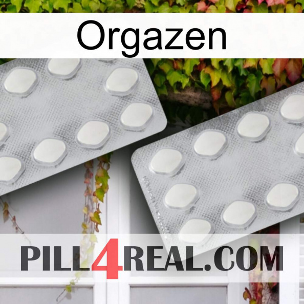 Orgazen 17.jpg